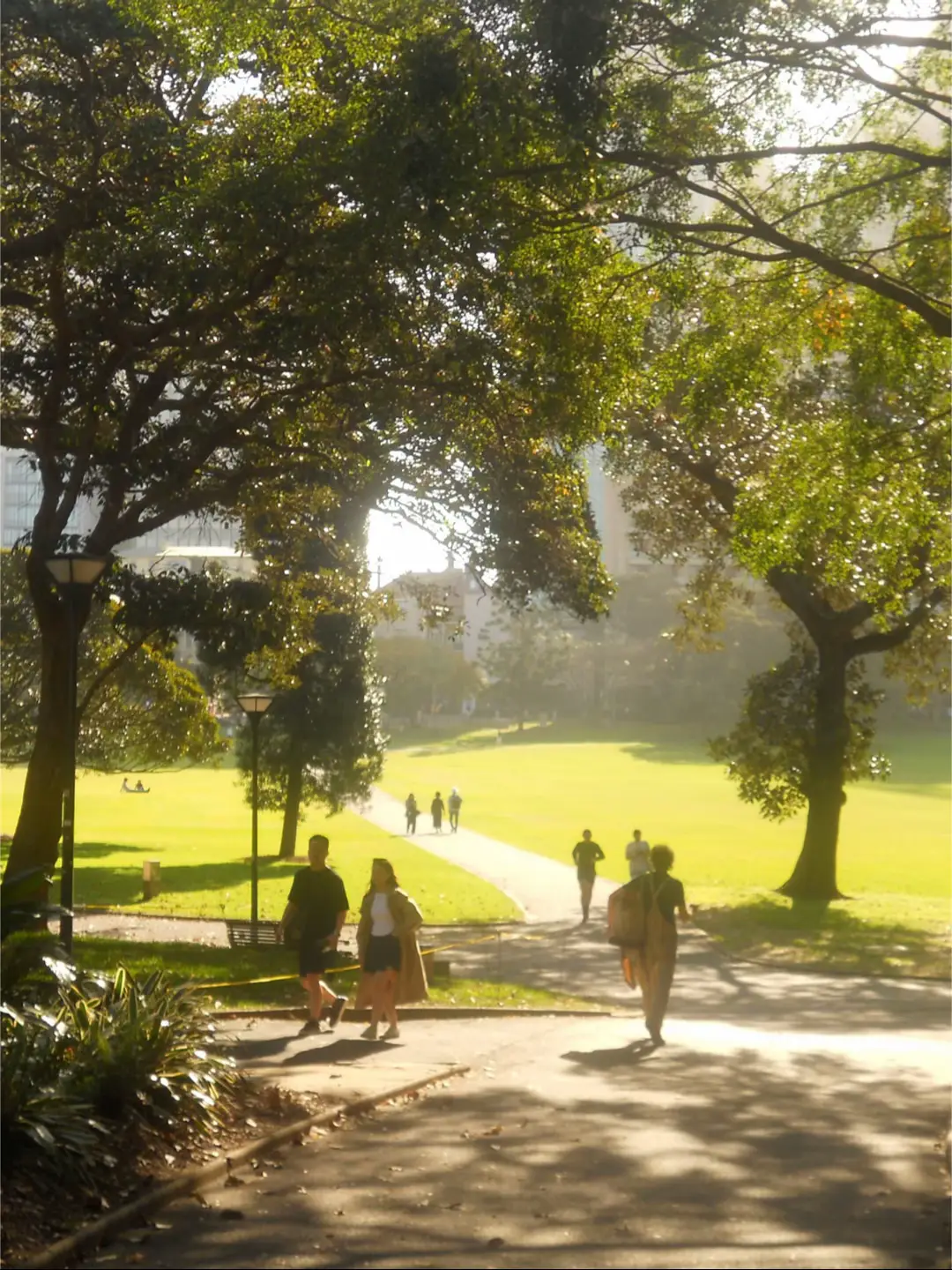 #sydney #australia #travel #foryoupage 