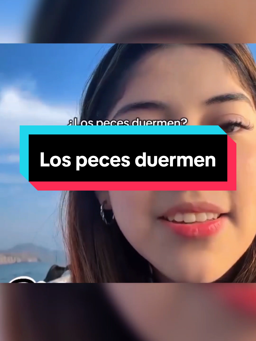 Los peces duermen? | BiologíaDesdeCero  #educación #biologiadesdecero #biologia #educación #AprendeEnTikTok 