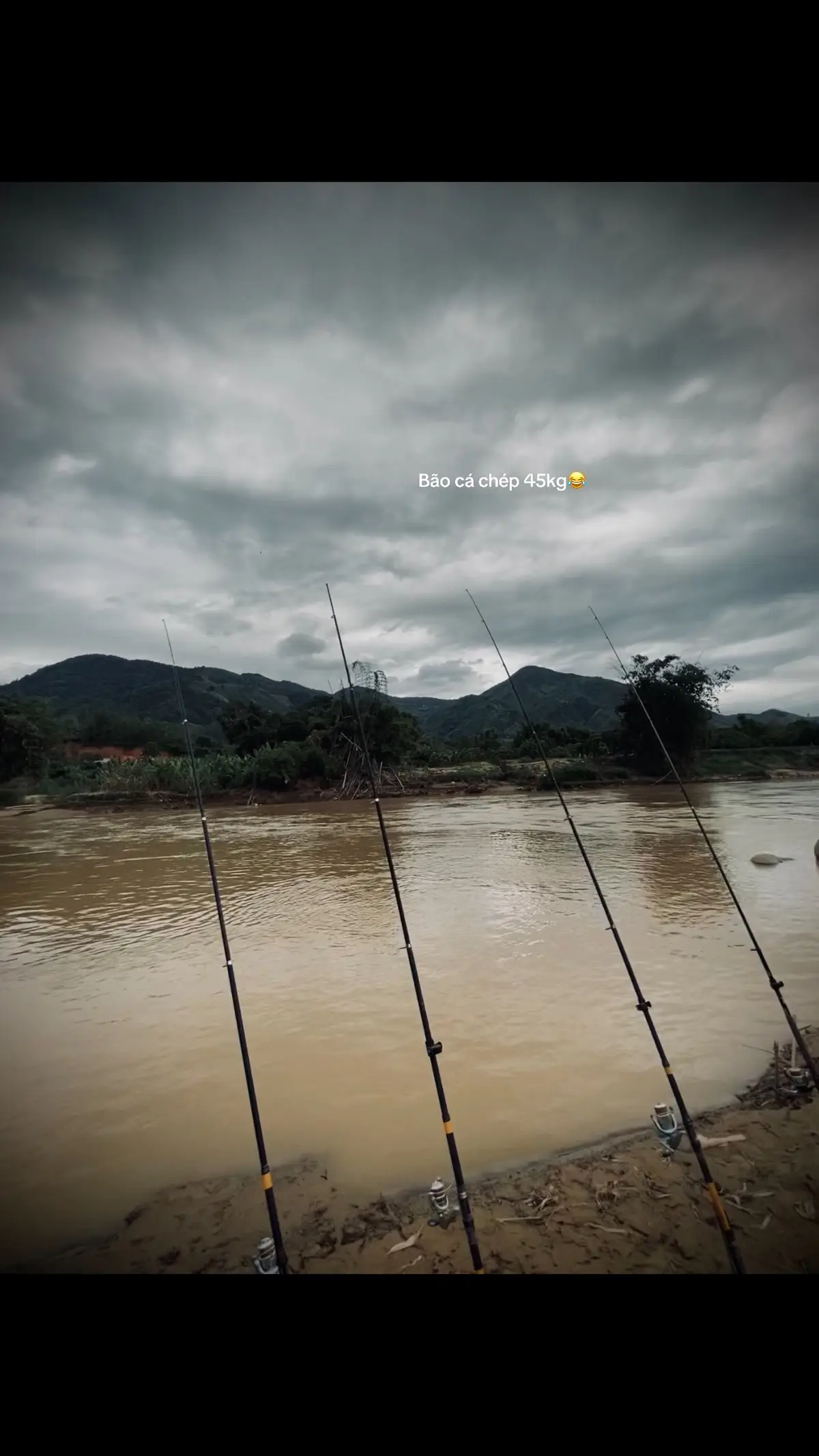 Bão cá 45kg 😂