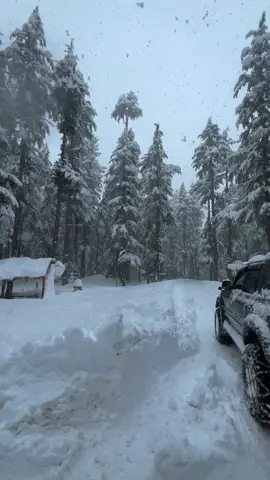 🏔️Swat kalam forest Snow ❄️  ##unfreezemyaccount##kalam##jaanalam415##swatvalleykpk##tourism