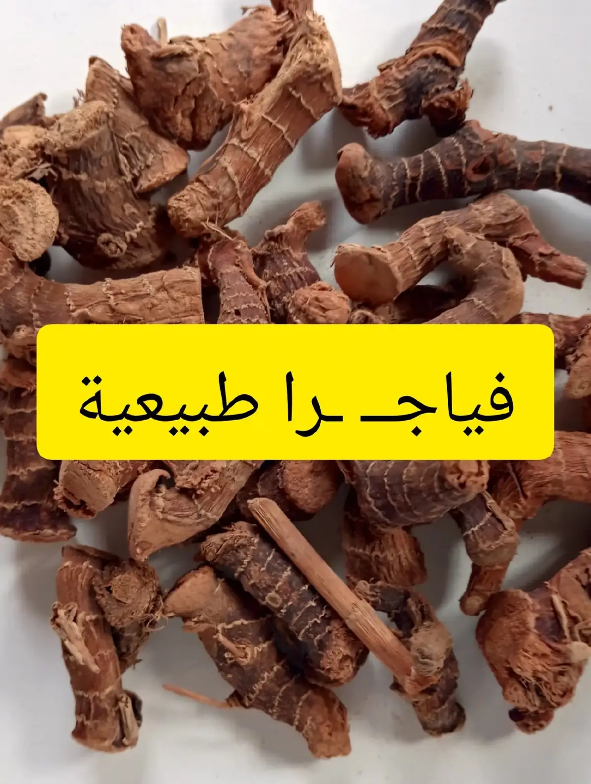 #فياجــ ـرا طبيعية  من المجربات لتنشيط الدورة الدموية تسرع الدورة بشكل رهيب وزيادة الرغبة عند الرجال والشباب وتفيد حتى النساء  ✅50 غرام من الخولنجان ، ومن أسمائه الخودنجال ، عرق الهيل ، العرق الأحمر ، الخلنجان ، القرنجال  ✅25 غرام من القرفة ، او الدار صيني  ✅25 غرام من الزنجبيل  ✅10 غرام من جوز الطيب ومن اسمائها الگوزة الغليضة . تطحن هذه المواد طحنا ناعما وتخلط مع بعضها البعض ويؤخد ملعقة صغيرة تغلى في كوب حليب وعند الفوران نطفي النار ويترك ليستحلب مدة نصف ساعة ويحلى بعسل النحل ويشرب صباحا قبل وجبة الإفطار وبنفس الطريقة مساءا قبل النوم يوميا لمدة شهر