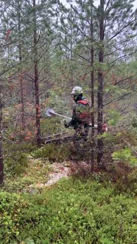 🌲👨🏻‍🚒🇫🇮🇺🇦 #forest #stihl #рекомендации #work #finland 