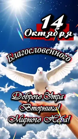 Доброе утро! #14октября #ДОБРОЕУТРОНОВИНКИ  #вторник 