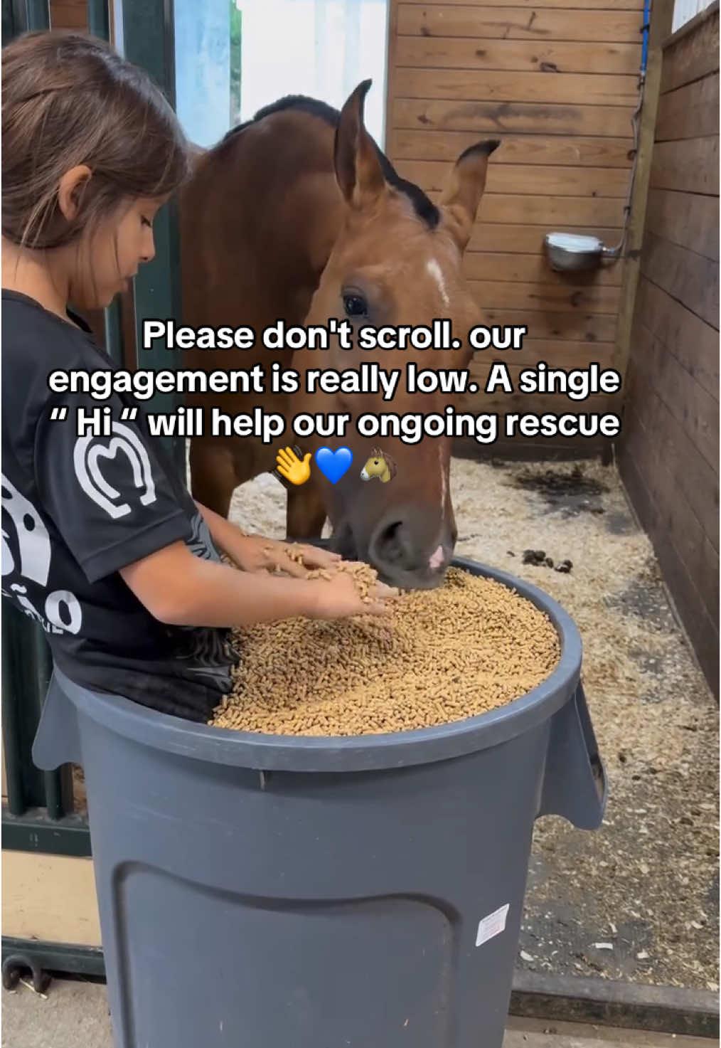 Please don't scroll our  engagement is really low. A single !... “ hi “ will help our ongoing rescue effort #horse #fyp #sad #tiktok #trendingvideo #viral #fyppppppppppppppppppppppp #Love #trend 