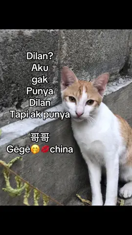#fyppppppppppppppppppppppp #fyp #gegechina #🇨🇳🇨🇳 #4u IB lewat fyp aku😉🤭