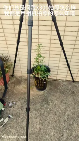 Test khả năng chụp ảnh cực khủng của Vivo x300 pro !!! #vivo #vivoX300pro 