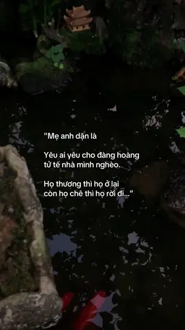 …#tamtrang #story 