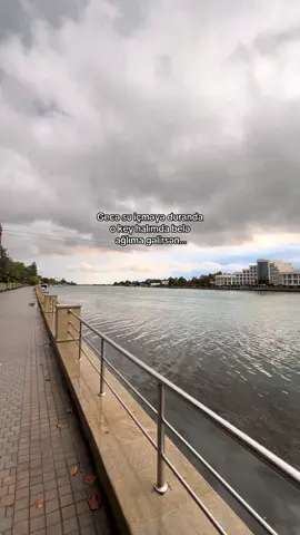 Reposdar boş qalmasın)  #repostluqvideolar #qruz #arxafonvideolar 