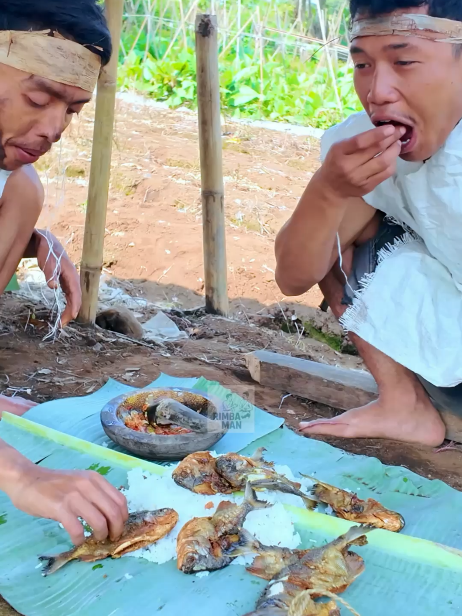 Hidup di hutan bukan hanya soal bertahan, tapi juga menemukan cara unik menikmati makanan. Kali ini, Rimba Man akan mencoba memasak ikan piranha, salah satu ikan paling ganas di sungai, dengan gaya primitif khasnya.  Apakah rasanya benar-benar enak? Atau justru menyeramkan seperti reputasinya? Saksikan aksi memasak, menyalakan api dengan cara tradisional, hingga menikmati hasil masakan langsung di alam liar. 🌿🔥🐟  👉 Jangan lupa dukung channel ini dengan like, share, dan subscribe agar Rimba Man makin semangat menghadirkan petualangan seru di hutan!  🔖 Hashtag  #RimbaMan #MasakPiranha #MukbangPrimitif #SurvivalFood #HidupDiHutan #WildFood #PrimitifStyle #CookingInTheWild #IkanPiranha