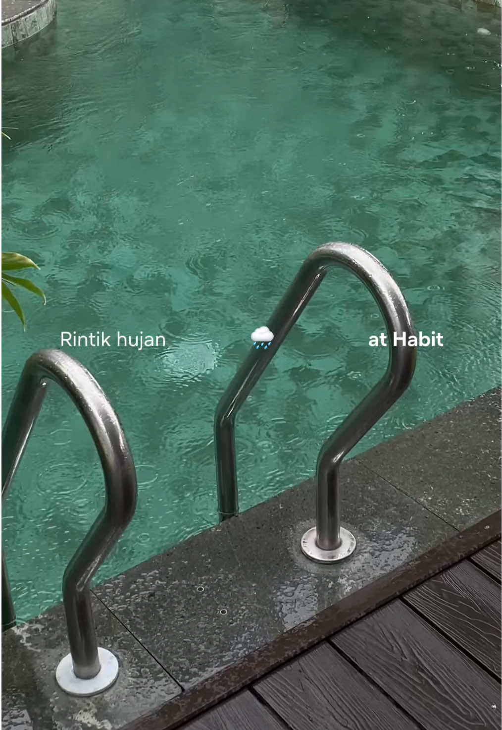 Menikmati tenangnya Habit ditengah syahdunya hujan 🌧️ #habit #guesthousejogja #penginapanjogja #jogja #liburan 