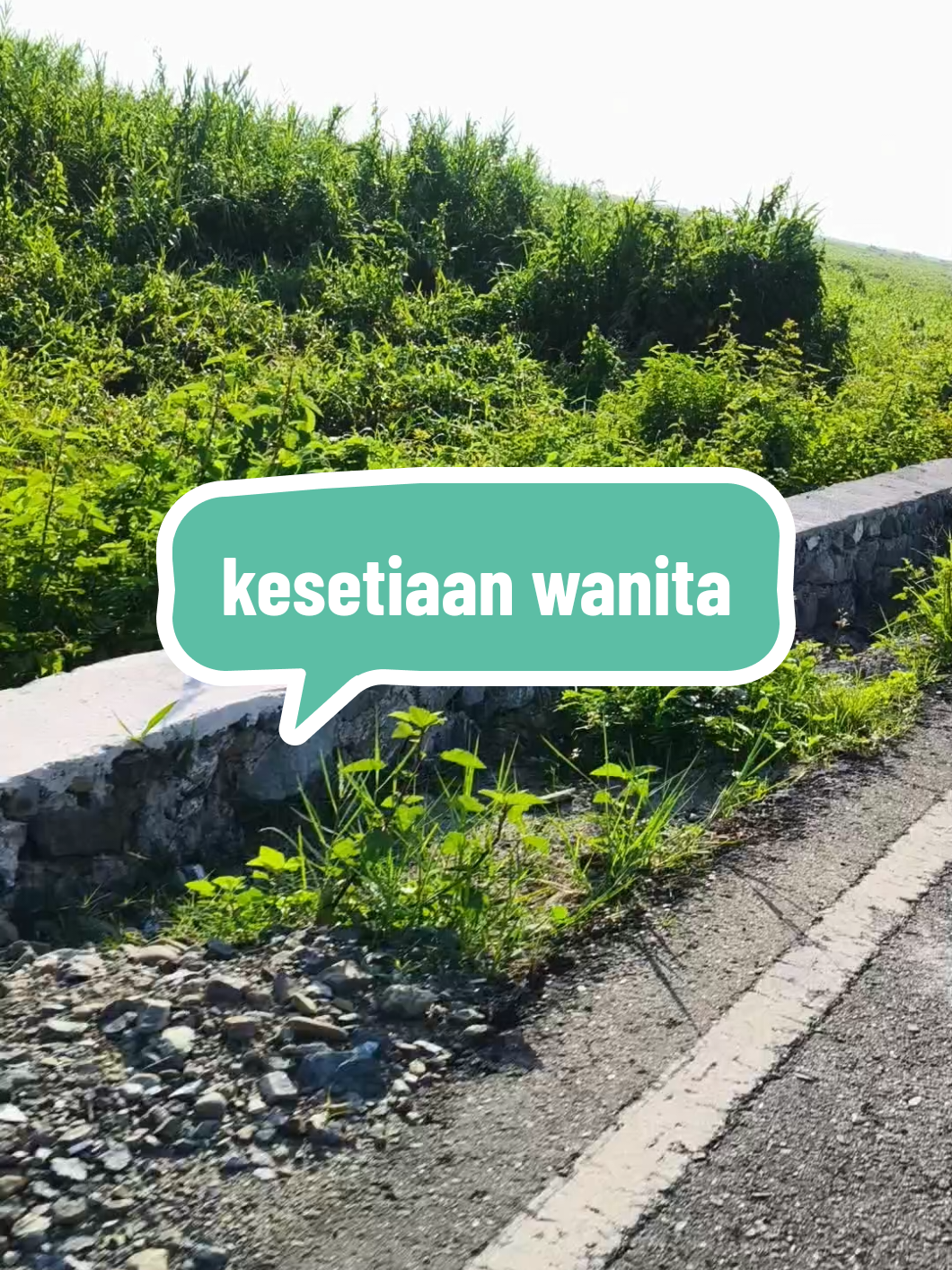 kesetiaan #katakatabanjar #laguindiabanjar #indiabanjar #fypシ゚ #nagara 