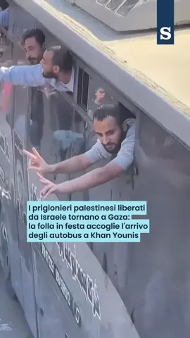 Gli autobus che trasportavano i prigionieri palestinesi liberati da Israele sono arrivati nella città meridionale di Khan Younis, nella Striscia di Gaza, dove enormi folle si sono radunate per accoglierli #khanyounis #gaza