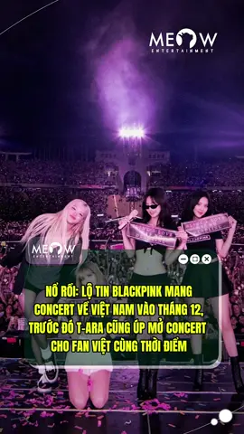 Cả T-ARA và BLACKPINK đều úp mở mang concert về Việt Nam vào tháng 12/2025 #Meowentertainment #Tiktokgiaitri #meownetwork #Blackpink 