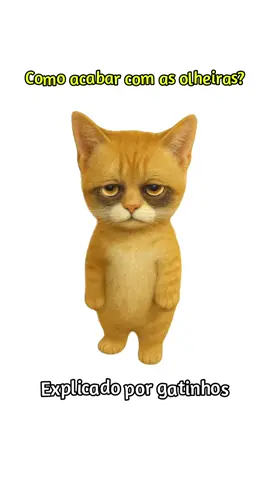 Como acabar com as olheiras? Explicado por gatinhos. #curiosidades #gatos #olheiras #autocuidado #GlowUp 