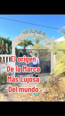 El origen de la marca más lujosa del mundo #hermes 