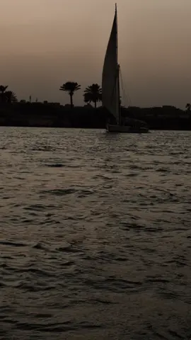 عاملين شقايق بس انا فايق🖤🔇 . #mixedvetables 
