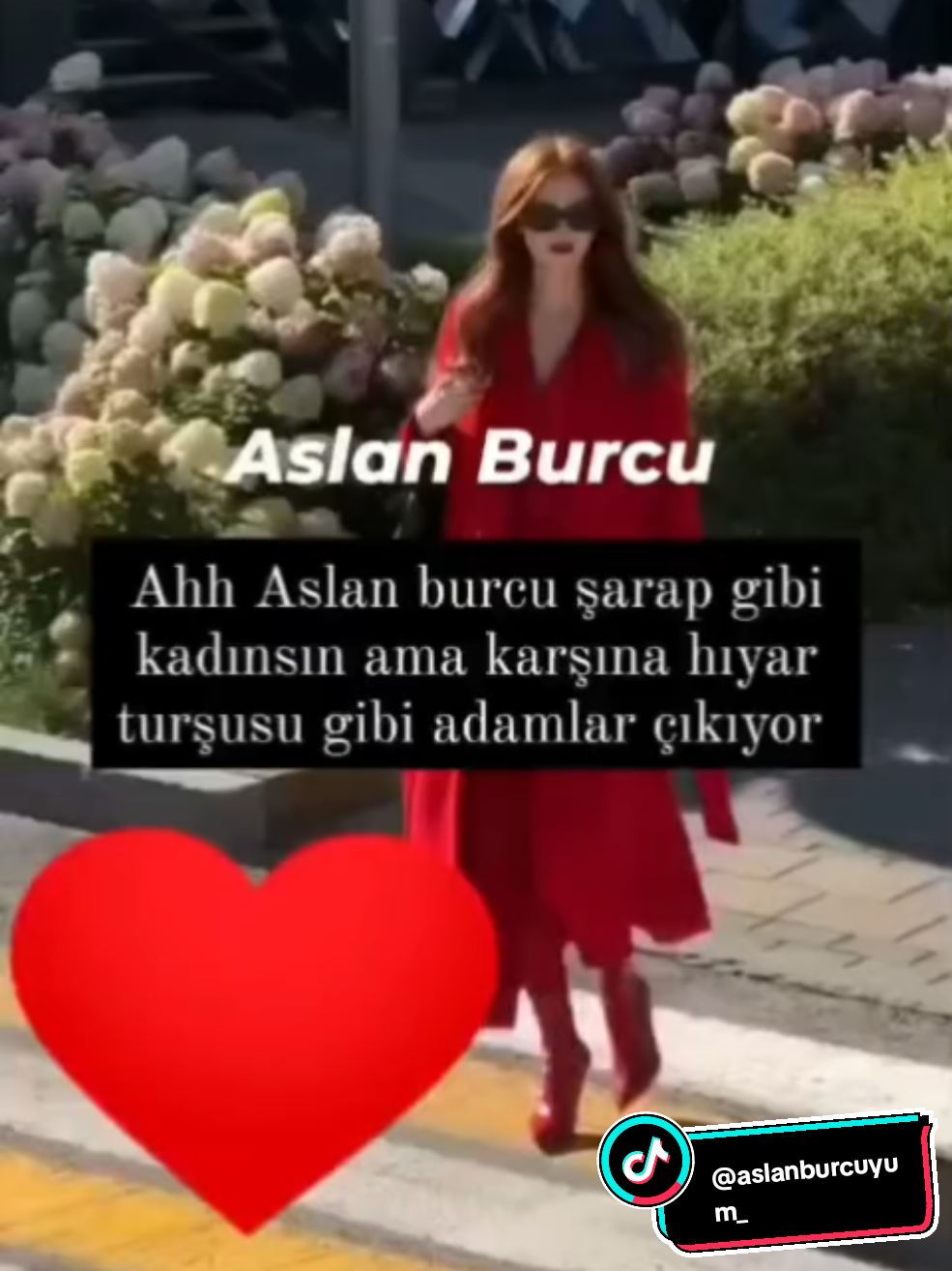 Yorumlarınızı bekliyorum Sevgili Aslanlar Kaliteli ve güncel paylaşımların devamı için beğenmeyi ve takip etmeyi unutmayın. #fy #fypage #keşfet #viraltiktok #aslanburcu 