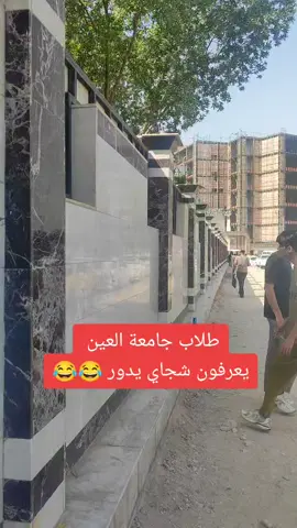 #جامعه_العين_ذي_قار