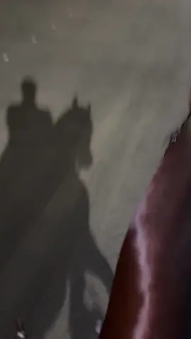 يامرحبا حق وحقيقهـ 🤎🔱.                                         #الطايف #خيل #الوهط #fyp 