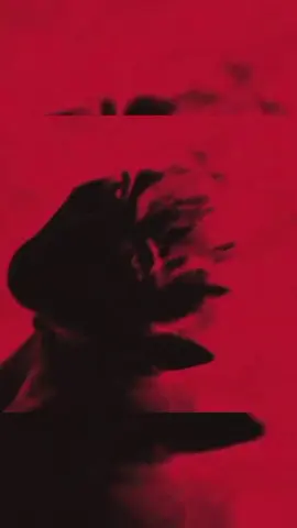 LES DEJO SUS HORARIOS  #jojibolivia #jojilover  #joji #jojilovers #PixelatedKisse 