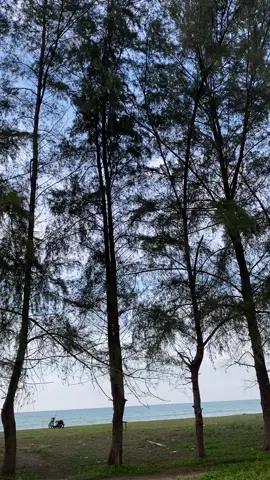 #fypシ#Rxking135ccc💨🚀 