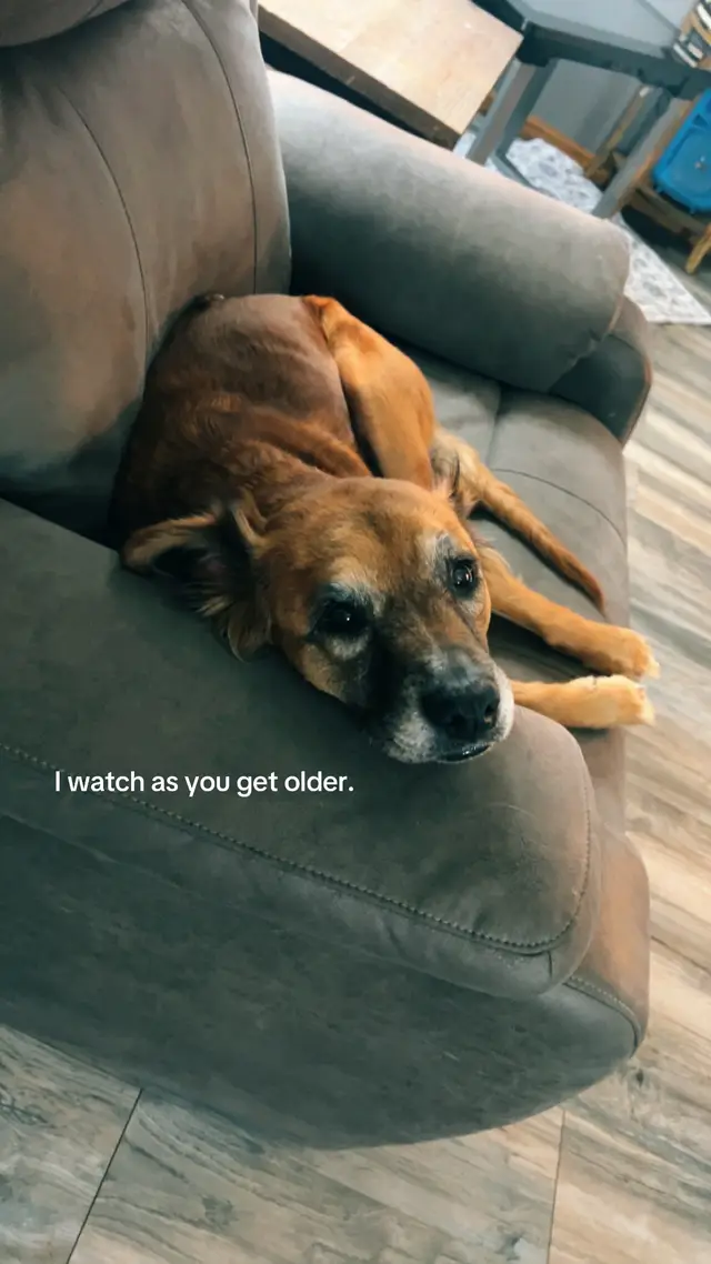 #relatable #childhood #bestfriend #dog 