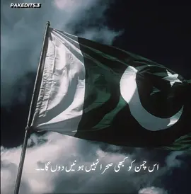 Pakistan Zindabad🇵🇰❤️#pakistanzindabad #pakarmy #foryou #foryoupage #viral #viralvideos #tiktokindia #tiktokpakistan #tiktokindia #100kviews #1millionaudition #proudpakistani #dontunderreviewmyvideo #tiktokpelitfyp #teaisfantastic #afgvspak #afgvspakistanwar #growmyaccount #grow 