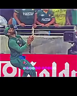 Top Best 😍 Catches In Cricket history...//