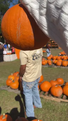 Pumpkin patch date with my oak meal! 🎃 My slow self took a while to turn 😅 anyways #fyp #pumkinpatch #falloutfits #dateideas #foryoupage #fyp 