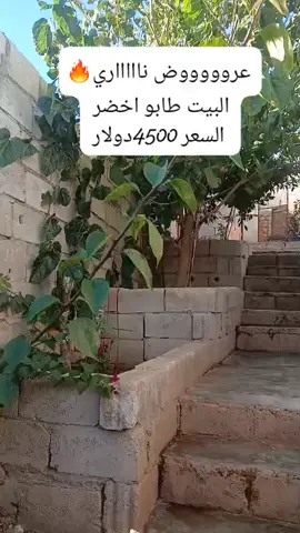 تم البيع رزقنا الله وياكم جميعا يارب  #عرووووووض ناااااري #بيت #عربي #للبيع طابو اخضر #العنوان قاح  تفصيل بالفيديو كامل تواصل واتس اب  +46722822394