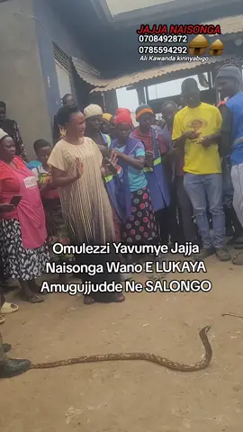 Omulezzi Yavumye Jajja Naisonga Wano E LUKAYA Amugujjudde Ne SALONGO#JAJJANAISONGA🛖 #jjajawabana #musawowekinansi #musawowekinansi 