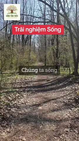 Sống là để trãi nghiệm các bài học! #tritue #nguyenchithanh #songtinhthuc #LearnOnTikTok 