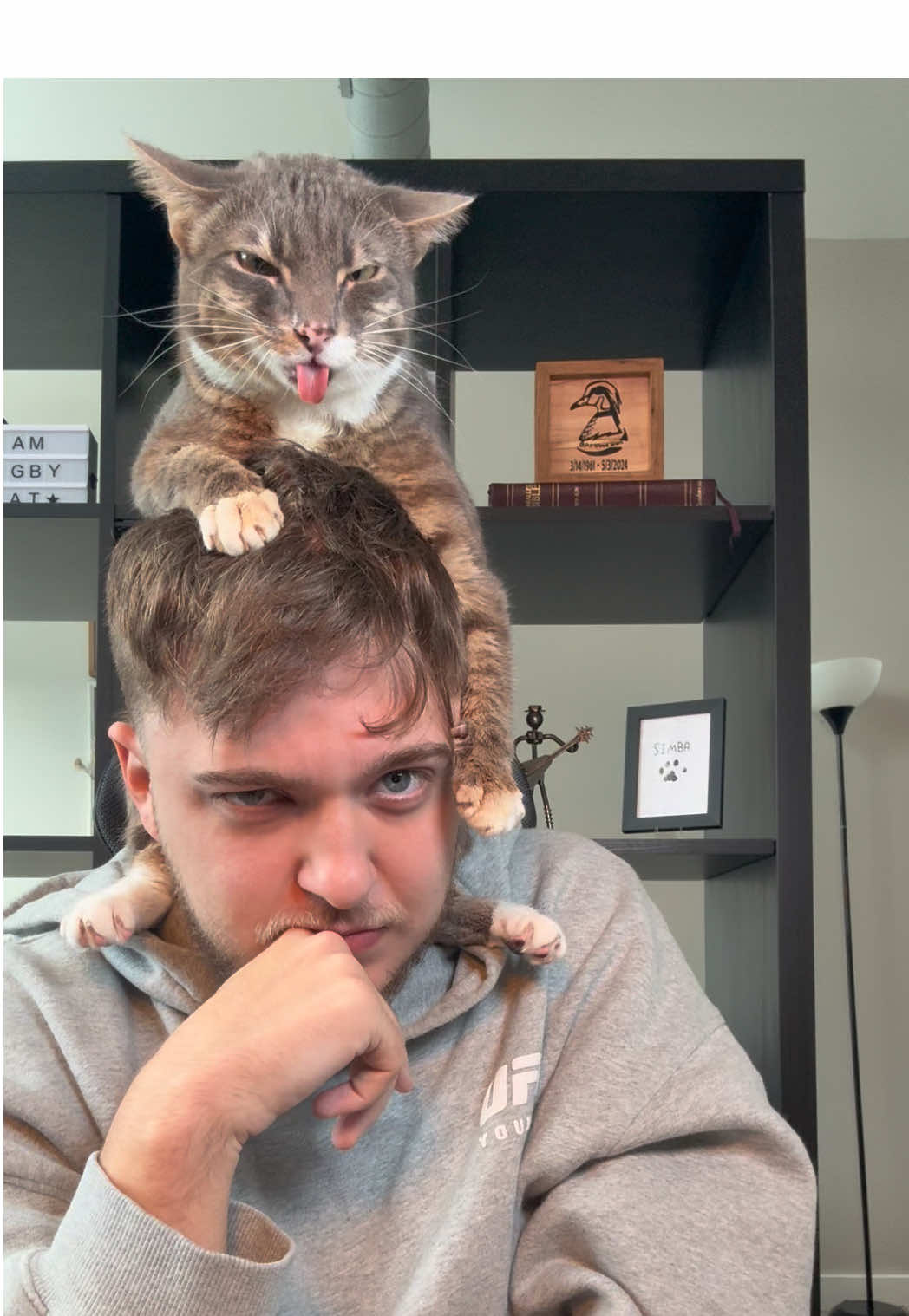 Tonight Rigbycat is going hard  #fyp #catcontent #catsoftiktok #sillycat #rigbycat 
