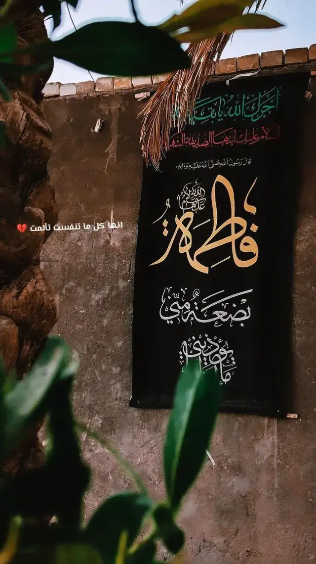 انها كل ما تنفست تألمت 💔#مشاهدات #الشعب_الصيني_ماله_حل😂😂 #اكسبلور #حمدان_الشاكري_مدرسه_الجزع_ولعشق #CapCut 