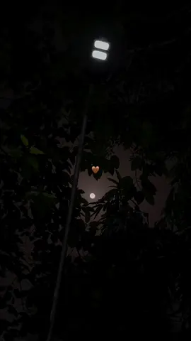 Baxte min Rasha 🤎🌓…@diyaneet🎙️” hnda xosh 🥹♥️#fypシ゚ #tiktok #viral #foryou #selwa🦋 