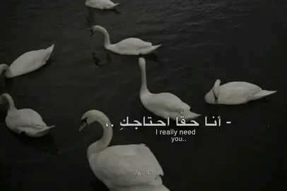 #اغاني #روسي #مترجمة #song #jes 