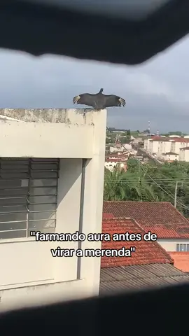 aproveitando os últimos momentos...  #real #fyppppppppppppppppppppppp #fy #viral #fypage 