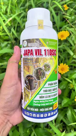 Mùa mưa là nấm suất hiện liền làm sạch nấm bảo về vườn dừa mình sai trái #japavil110sc #vattunongnghiep6868 #vtnnvanphat #bếntre #dừa 