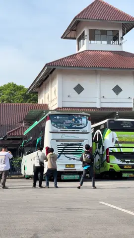 Para mania nya rimba raya🤩#rimbaraya#jepara#poris #toltransjawa 