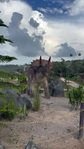 အဝေးက ကာကာတွေကြည့်လို့ရအောင်အသစ်ဖွင့်ထားတဲ့ပွဲကောက်ရေတံခွန်ဘေးကဂေါ်ဇီလာပန်းခြံလေးတင်ပေးလိုက်ပါတယ်#ဂေါ်ဇီလာပန်းခြံပြင်ဦးလွင် 