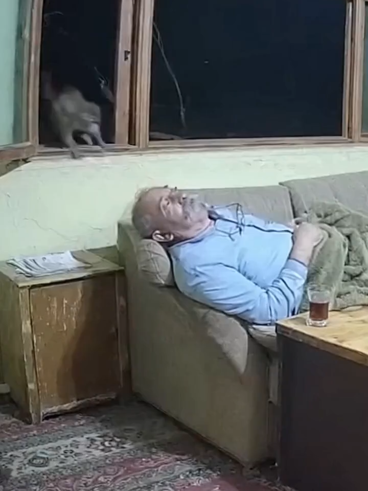 Rize'de 3 gündür evine dadanan maymunlardan adam kurtulamıyor.#keşfet #keşfetteyizzz #komik #komikvideolar #viral #cctv