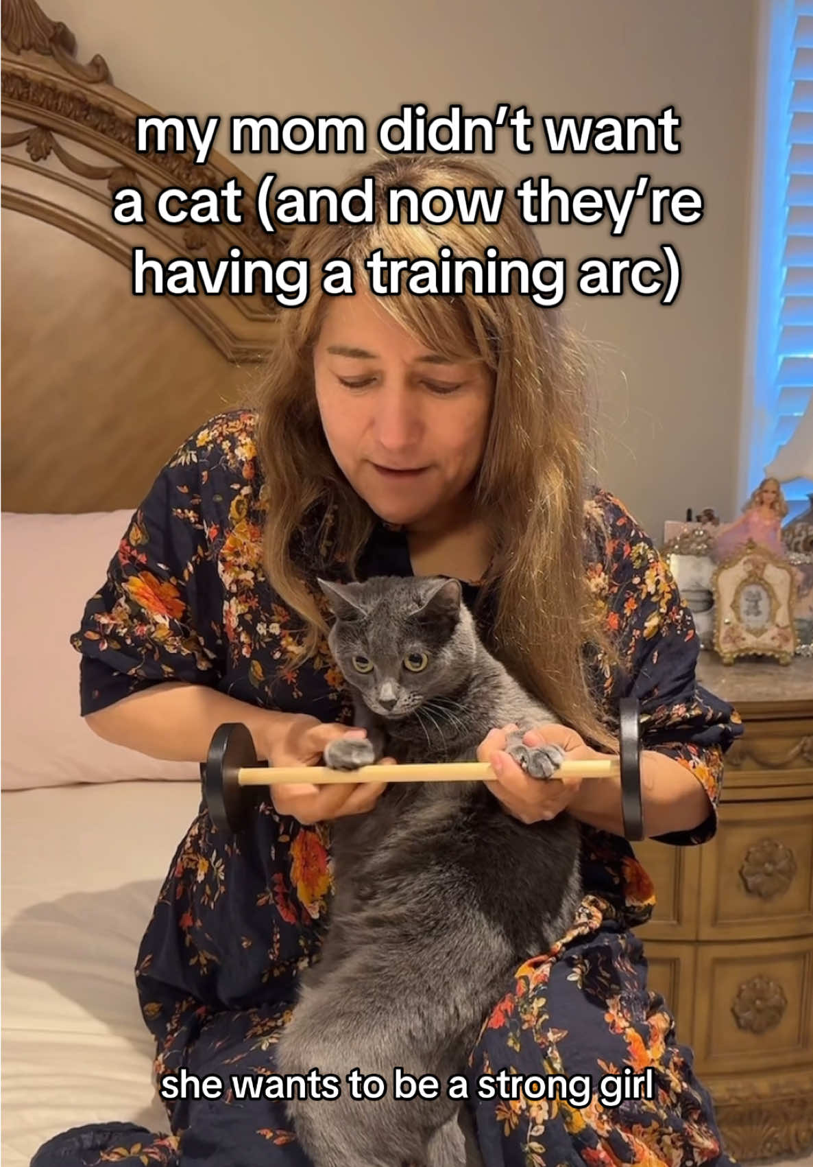 pyaari’s gonna be the beefiest decent cat #cat #comedy #fypage #fyp #catsoftiktok 