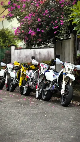 පැත්තෙම Z.🫶🚀#drz400sm #supermoto #XQ #6066 #100kviews #CapCut #fypツ #foryou #trending #srilankan_tik_tok🇱🇰 #srilanka 