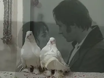 صار متحف للهموم #اكسبلور #تصاميم #صعدو_الفيديو #fyp #عباس_السحاكي 