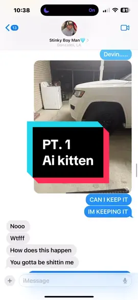 ✨When the cat distribution system finally reaches you…in AI form✨#prank #fianceprank #catdistributionsystem #lostkitten 