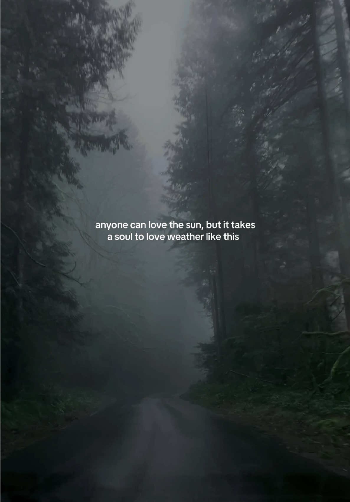 Comfort weather #pacificnorthwest #rainydays #Hiking 