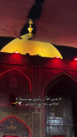 - اللهم لك الحمد حتى ترضى ولك الحمد اذا رضيت ولك الحمد بعد الرضا .#النجف #مرقد_الامام_علي_عليه_السلام #اكسبلورexplore #لايك__explore___ #الحمدالله_علی_کل_حال❤ 