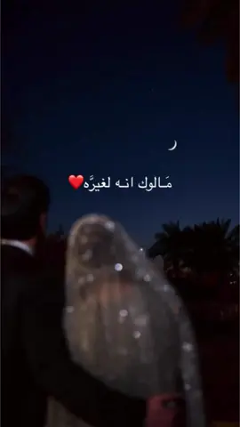 مالوك انه لغيره❤️ #اغاني_عراقيه #اغاني #محمد_عبد_الجبار #اغاني_عراقية_قديمة 