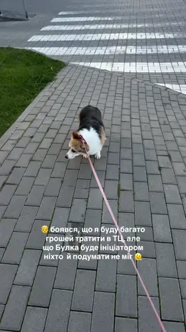 упс.... а це як так вийшло? 😅