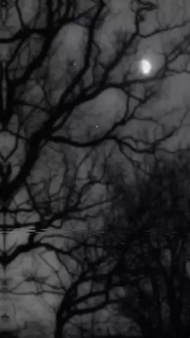 😌❤️ بےشک #drisrarahmad#molanaishaq#engineermuhammadalimirza 